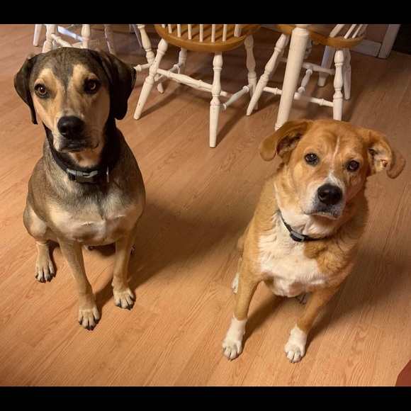 Meet your Posher, Jay - Picture 1 of 1